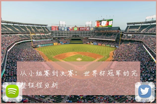 从小组赛到决赛：世界杯冠军的完整征程分析